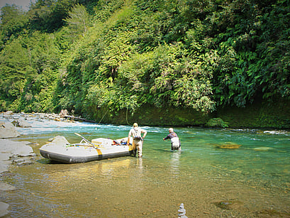 Hamilton Fly Fishing Trout guide