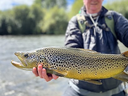 New Zealand Fly Fishing Guides