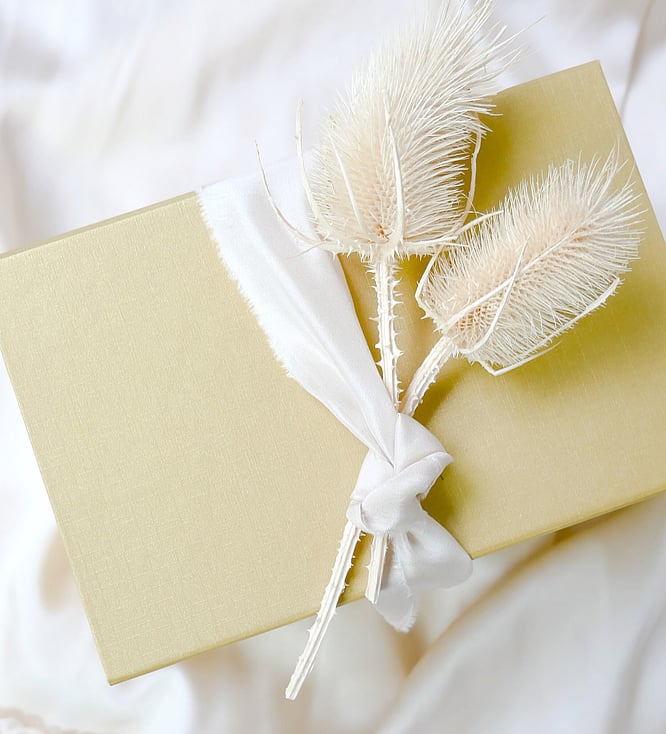 Choose a Beija Flor gift voucher | Designer Brand Jewellery