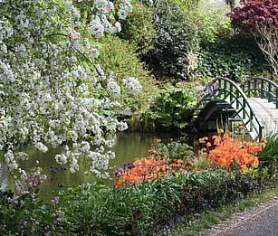 Woodlands Estate, Sculpture Park and Zealong Tea Estate. Waikato tours, Hamilton day trip NZ, Arts and garden tours in Waikato.
