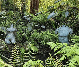 Waitakaruru Arboretum, Sculpture Park and Zealong Tea Estate. Waikato tours, Hamilton day trip NZ, Arts and garden tours in Waikato.