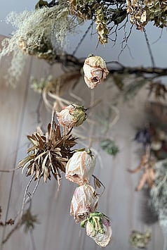 Dried flower chandelier by Raglan Florist Wild About Eve