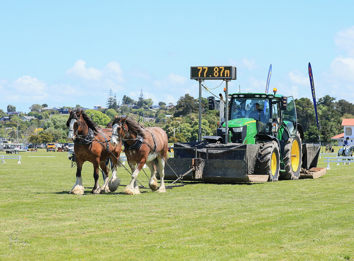 Manawatu & West Coast Agricultural & Pastoral Association Incorporated logo