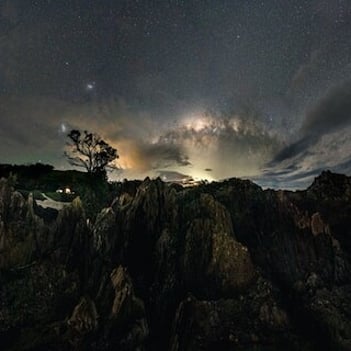 A starry night over mountains and native NZ bush.