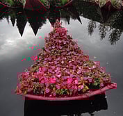 Petal-shaped gardens are cast into water from the giant floating lily. In the wake of the devastating February 2011 earthquakes in Christchurch NZ, this garden speaks to loving the place where you stand but the heartbreak of loss and change.
