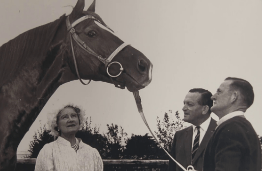 NZ Racing Hall Of Fame Limited logo