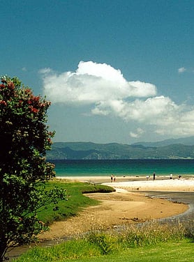 Families enjoying the sunshine and the pohutukawa in flower at the Kuaotunu river mouth on the Coromandel Peninsula