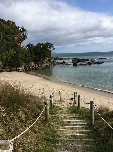 Steps and a rope handrail leading down to Rings Beach on the Coromandel Peninsula