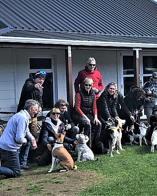 A group of Kuaotunu locals with their dogs outside the Kuaotunu Library on the Coromandel Peninsula