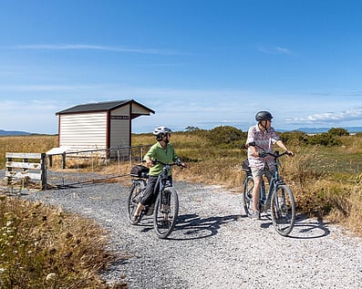 Image for The Great 4  day Hauraki Rail Trail tour