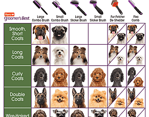 Caring for your dog by using the right dog brush