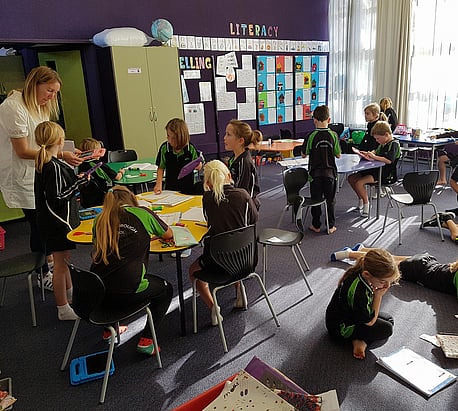 Martinborough School