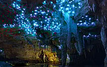 Private Glow Worm Cave Tour