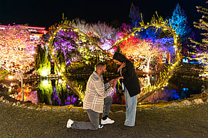 Selemon & Eskedar - Wellington