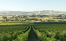 Winery Tours