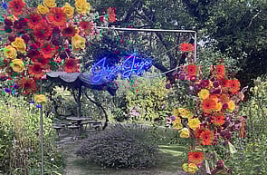 Edmond & Mercedes - Queenstown