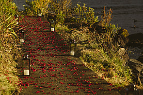 Paul & Masooma - Taupo