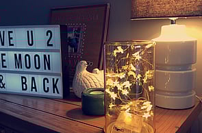 Devi & Vishnu - Ashburton