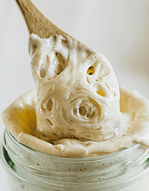 Gluten Free Sourdough Culture   