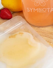 JUN Kombucha SCOBY (organic)     
