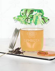 Kombucha Kit 