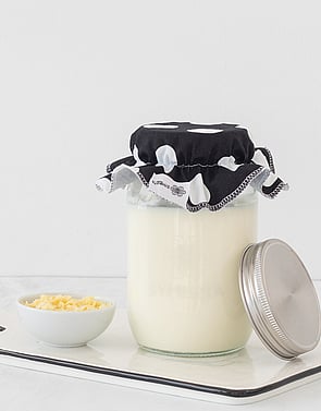 Viili Yoghurt Kit or Culture