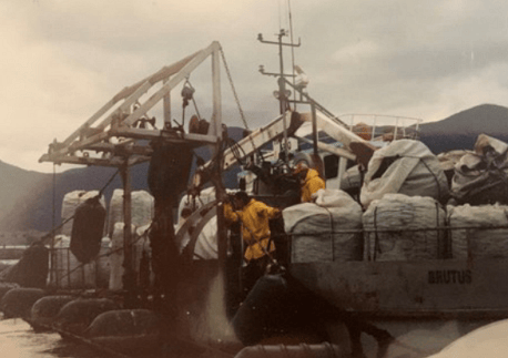 The dumb barge &ldquo;Brutus&ldquo; harvesting around 1990