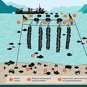 Healthy Coastal Ecosystems