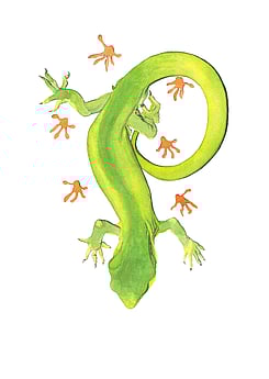 'Marlborough Green Gecko Only Leaves Footprints' original watercolour painting