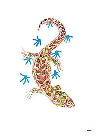 'Harlequin Gecko Only Leaves Footprints' original watercolour painting