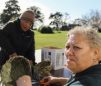 Traditional And Modern Healing