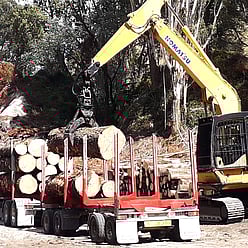 Image of logging. Central Milling and Timber Supplies Ltd can provide a fully experienced logging team for woodlots and marketing. Waikato, New Zealand.
