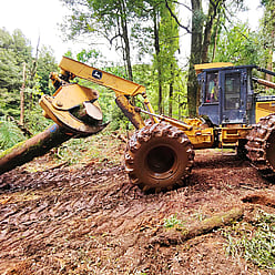 Image of logging. Central Milling and Timber Supplies Ltd can provide a fully experienced logging team for woodlots and marketing. Waikato, New Zealand.