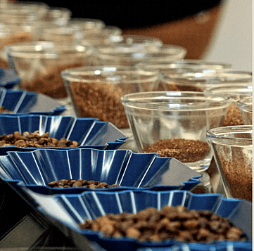 Kaffeehaus Cupping Events