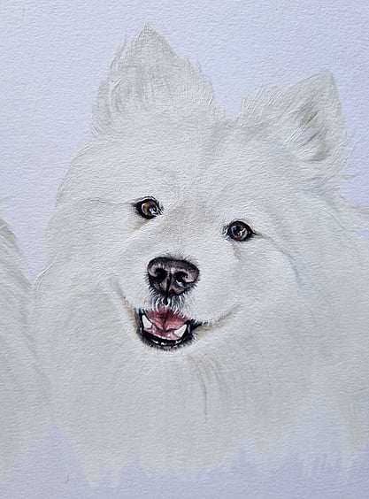 Winston and Bindi Pet Painting Commission Art New Zealand. Caricature pet art. Hyper realistic pet art. Dog and cat commission artwork. Kayla pet paintings. Kaela pet paintings