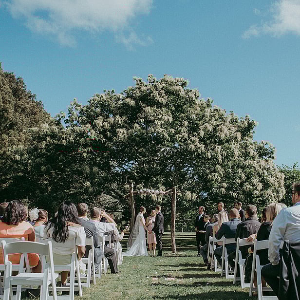 Markovina Estate Chestnut Tree Ceremony