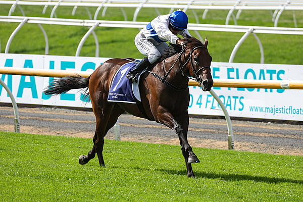 Classic Gr.1 winner SAVAGLEE