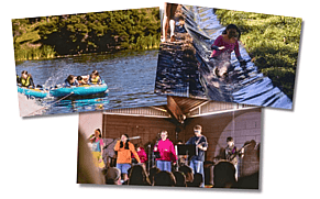 Fun, Faith, and Friendship at Manawatū District Rally Camp