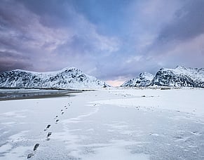 What the Lofoten taught me