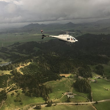 helicopter over forrest