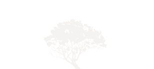 The Chefs Table Logo