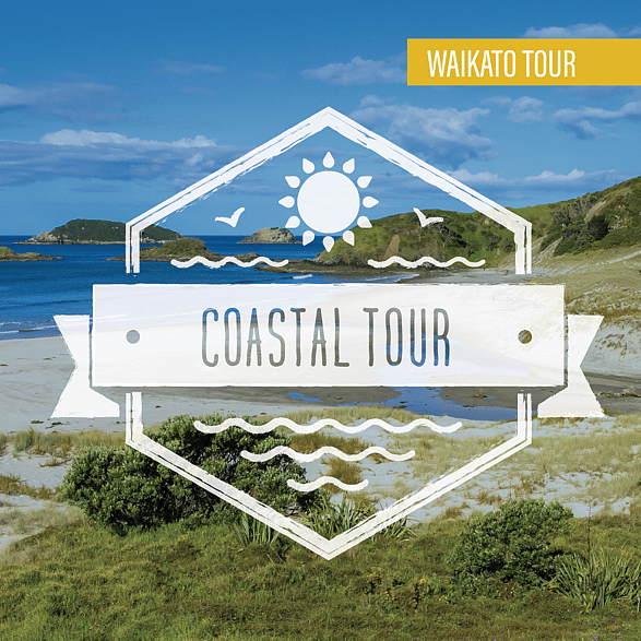 Waikato scenic flights