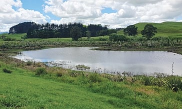 View of the Mangawara Lagoon/Wetlands Project