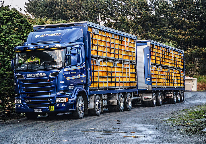 Alderson Poultry Transport NZ | Chickens