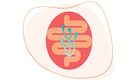 The gut brain icon mBraining coaching with Michelle Rohleder