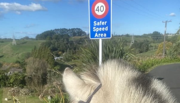 The blind and visually impaired community shouldn&rsquo;t bear the burden of on-road problems
