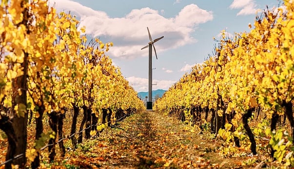 When is the 'right' time to drink wine?