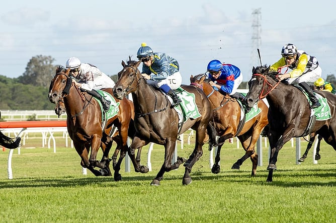 Feminino (centre) emerged as a potential Oaks filly after winning the Gr.3 Kembla Grange Classic (1600m). -  Photo: bradleyphotos.com.au