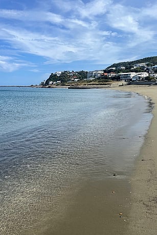 Recommended ADHD resources