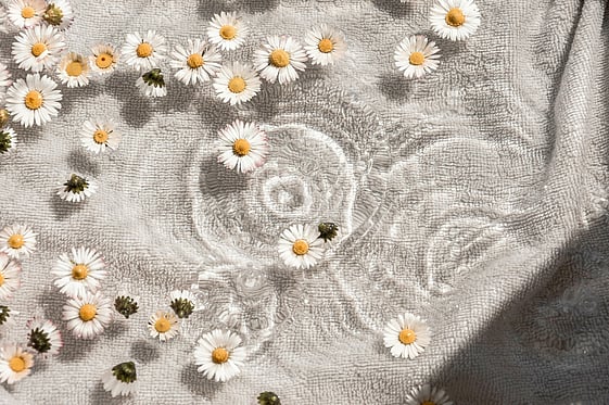 Photo by <a href="https://unsplash.com/@kmile_ch?utm_source=unsplash&utm_medium=referral&utm_content=creditCopyText">Camille Brodard</a> on <a href="https://unsplash.com/photos/white-and-blue-floral-textile-AVi4lkHl5L4?utm_source=unsplash&utm_medium=referral&utm_content=creditCopyText">Unsplash</a>